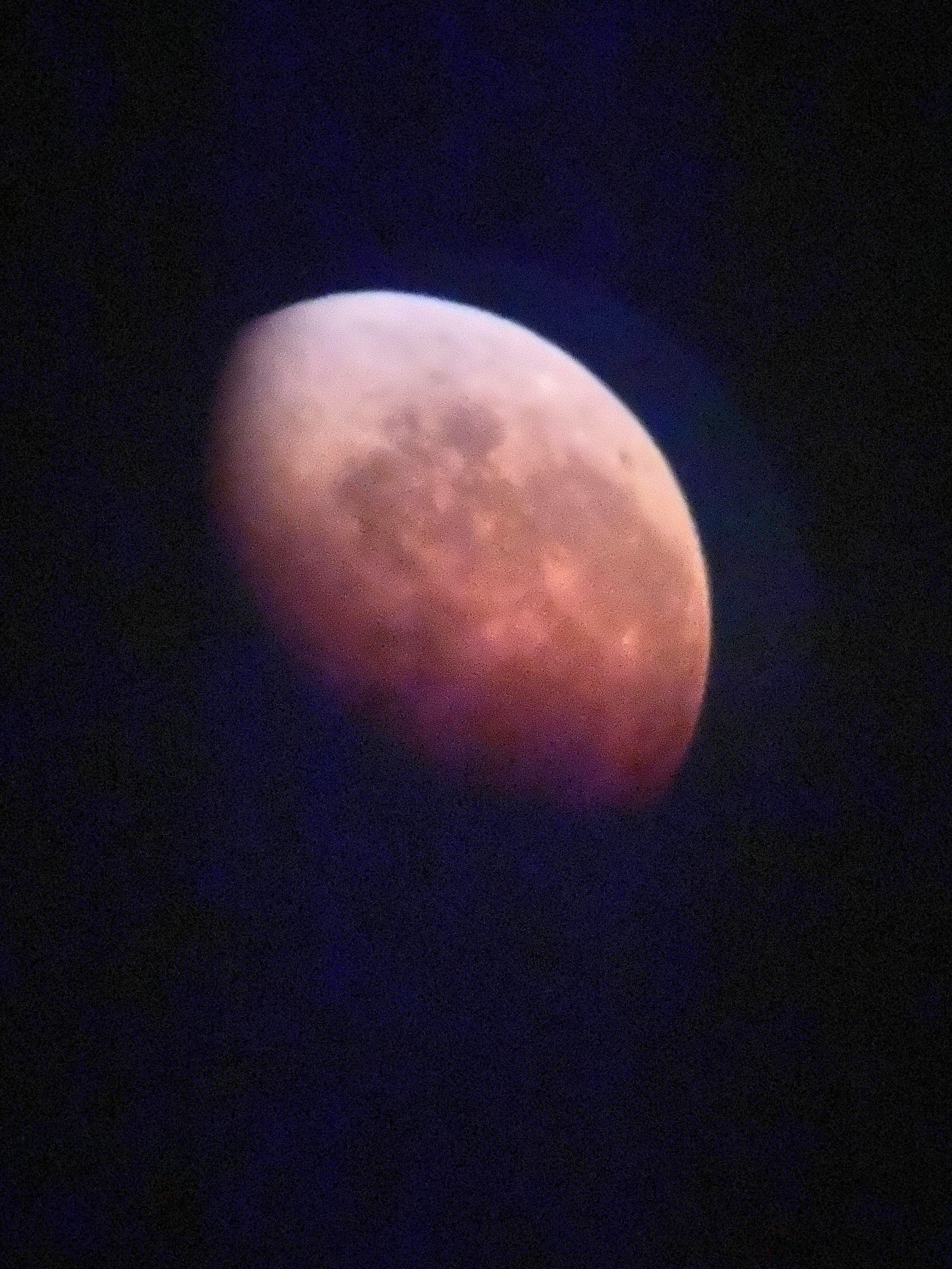 BloodMoon